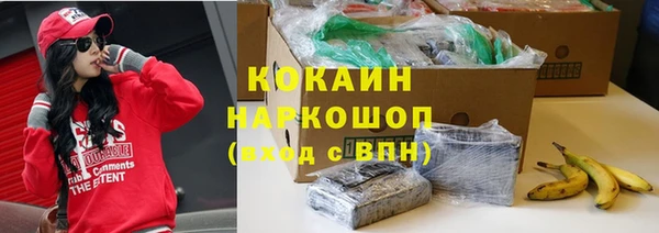 крисы Баксан