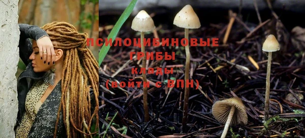 ALPHA PVP Белокуриха