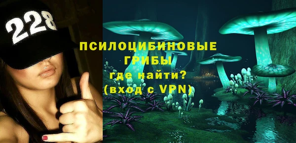 крисы Баксан
